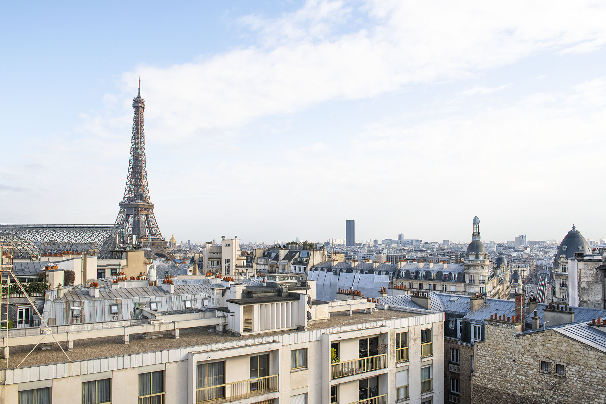 Superbe 120m2 face Tour Eiffel Trocadéro 16e 2 DSC0184 1